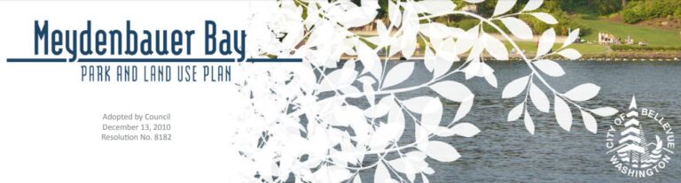 meydenbauer bay planJPG 768x207