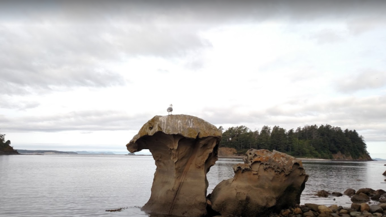 Fossil Bay Sucia Island Wa2.jpeg 768x432