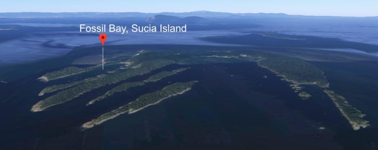 Fossil Bay Sucia Island Waheader 768x305
