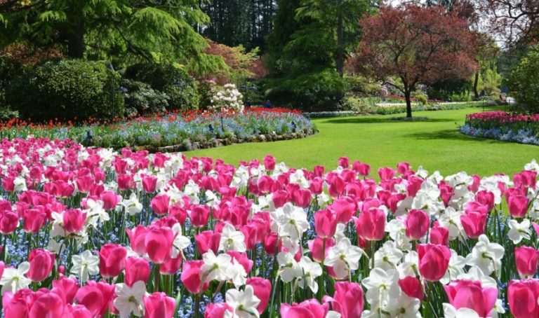 butchartgardens3 2 768x454