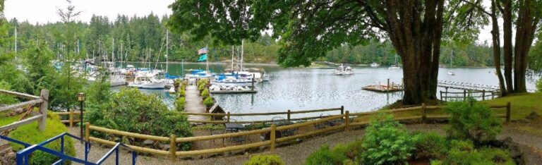 359 jarrell Cove Marina Panorama 768x234