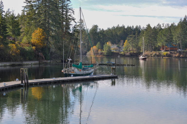 359 jarrellcove1 768x510